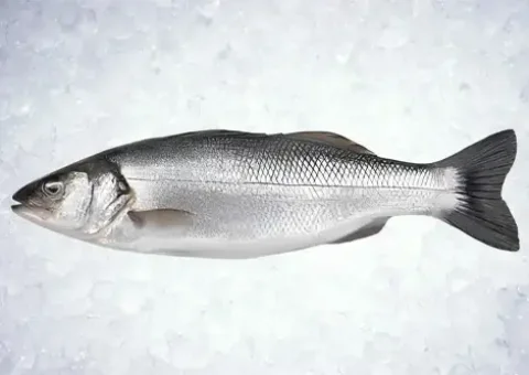 LEVREK