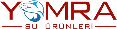 Yomra Su &Uuml;r&uuml;nleri | T&uuml;rkiyenin En Kaliteli Balıkları